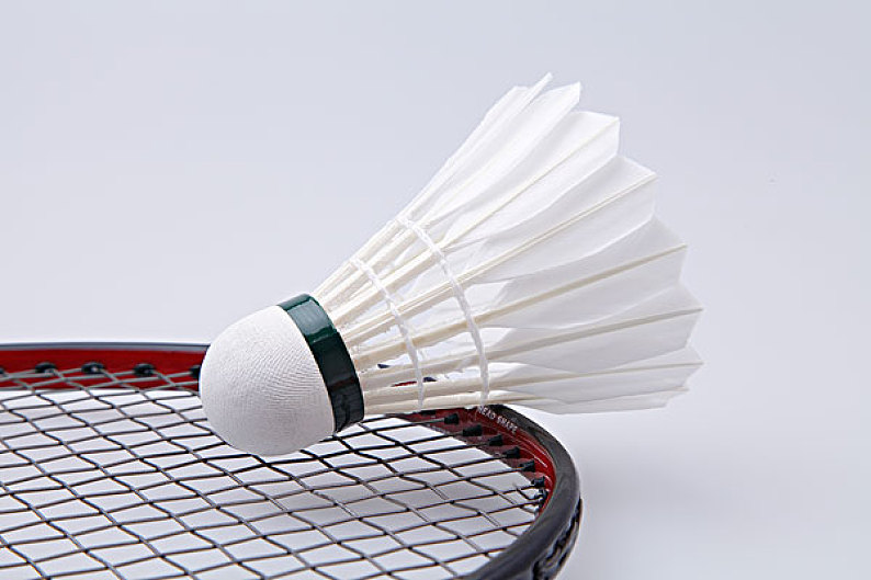 冠军的绝对 冠军的绝对