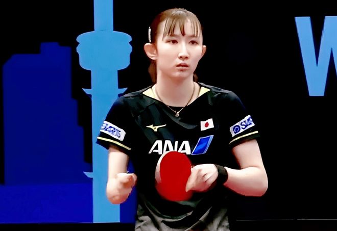 极具观赏性 极具观赏性